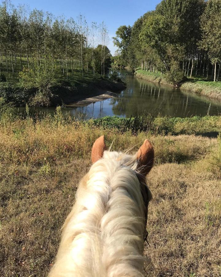 Agriturismo Tenuta "Il Cigno" Villanterio Dış mekan fotoğraf
