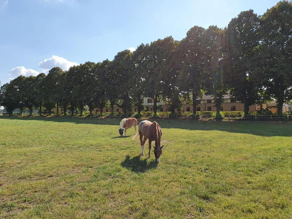 Agriturismo Tenuta "Il Cigno" Villanterio Dış mekan fotoğraf