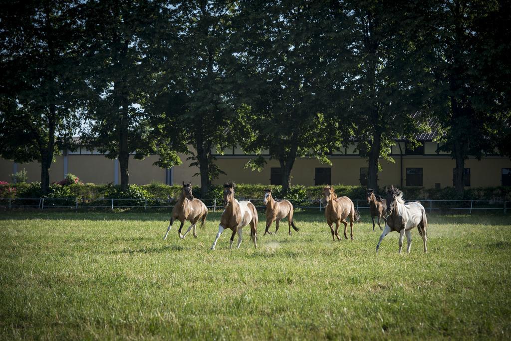 Agriturismo Tenuta "Il Cigno" Villanterio Dış mekan fotoğraf